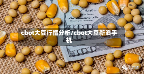 cbot大豆行情分析/cbot大豆新浪手机