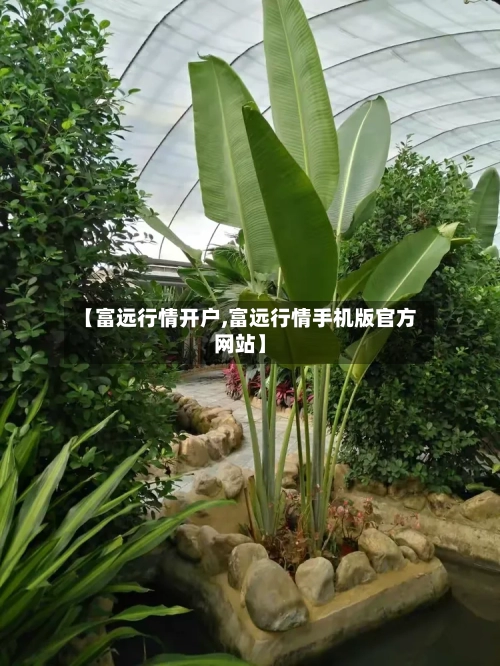 【富远行情开户,富远行情手机版官方网站】