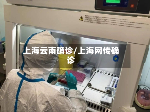 上海云南确诊/上海网传确诊