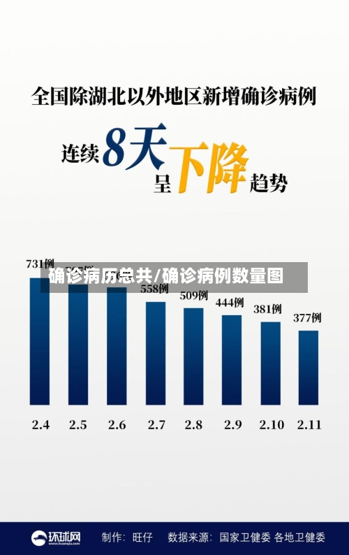确诊病历总共/确诊病例数量图