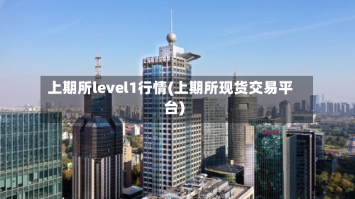 上期所level1行情(上期所现货交易平台)