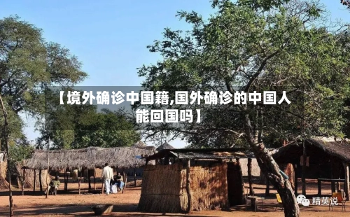 【境外确诊中国籍,国外确诊的中国人能回国吗】-第2张图片