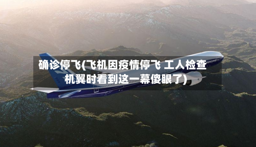 确诊停飞(飞机因疫情停飞 工人检查机翼时看到这一幕傻眼了)-第3张图片