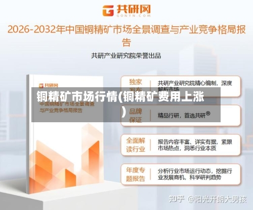 铜精矿市场行情(铜精矿费用上涨)-第2张图片