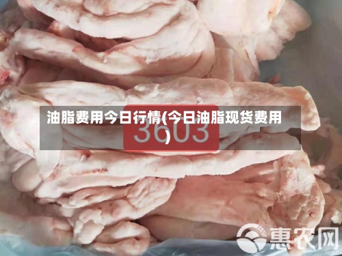 油脂费用今日行情(今日油脂现货费用)