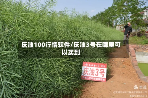 庆油100行情软件/庆油3号在哪里可以买到