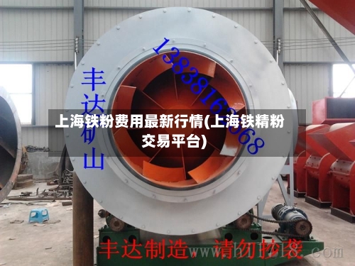 上海铁粉费用最新行情(上海铁精粉交易平台)
