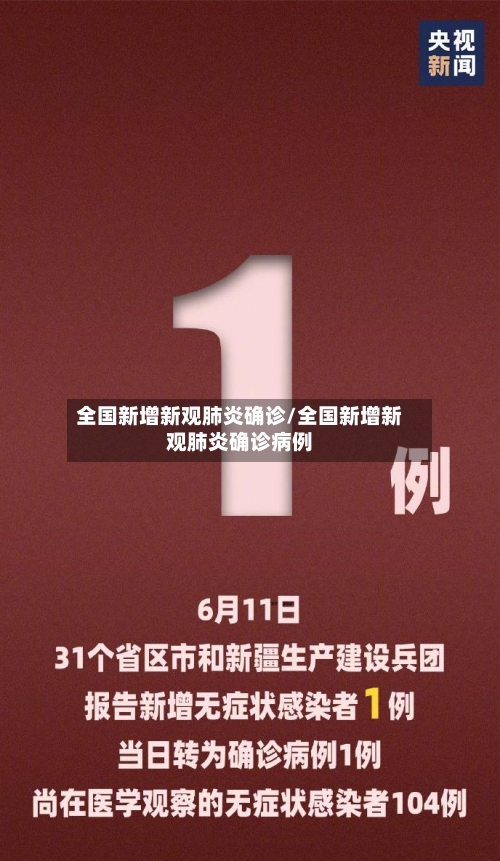全国新增新观肺炎确诊/全国新增新观肺炎确诊病例-第2张图片