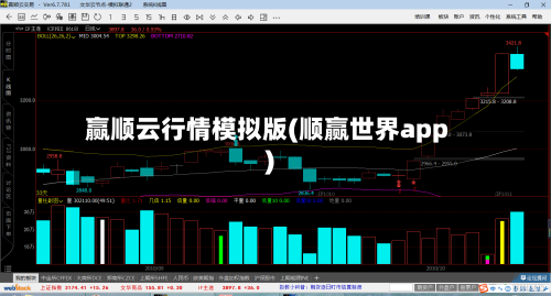 赢顺云行情模拟版(顺赢世界app)-第2张图片