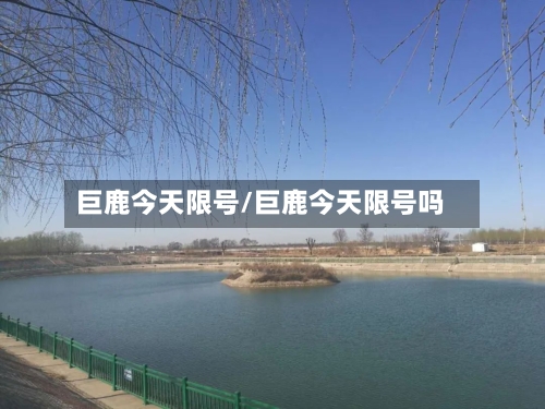 巨鹿今天限号/巨鹿今天限号吗