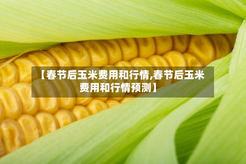 【春节后玉米费用和行情,春节后玉米费用和行情预测】