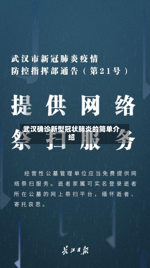武汉确诊新型冠状肺炎的简单介绍
