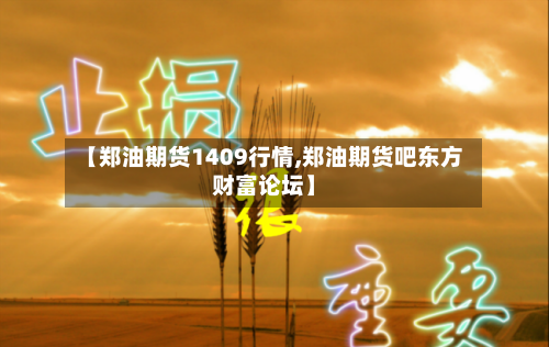 【郑油期货1409行情,郑油期货吧东方财富论坛】-第2张图片