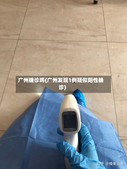广州确诊鸡(广州发现1例疑似阳性确诊)-第2张图片