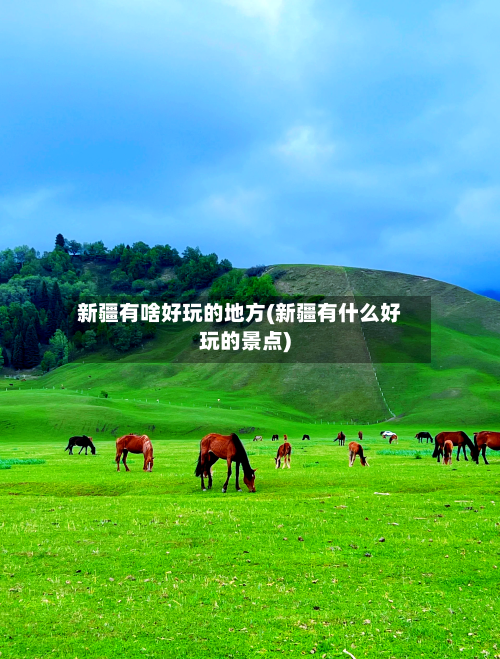 新疆有啥好玩的地方(新疆有什么好玩的景点)-第2张图片
