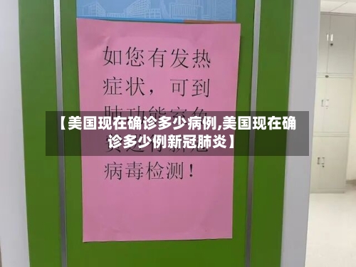【美国现在确诊多少病例,美国现在确诊多少例新冠肺炎】