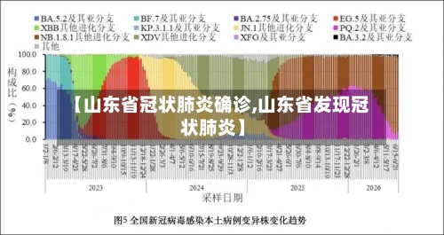 【山东省冠状肺炎确诊,山东省发现冠状肺炎】-第3张图片