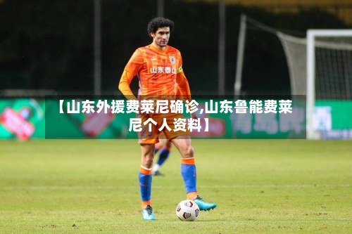 【山东外援费莱尼确诊,山东鲁能费莱尼个人资料】-第2张图片