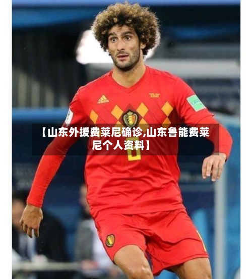 【山东外援费莱尼确诊,山东鲁能费莱尼个人资料】