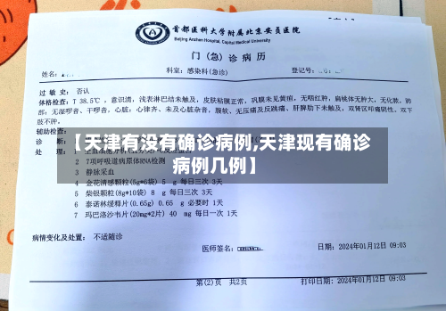 【天津有没有确诊病例,天津现有确诊病例几例】