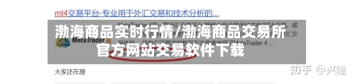 渤海商品实时行情/渤海商品交易所官方网站交易软件下载