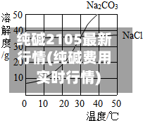 纯碱2105最新行情(纯碱费用实时行情)
