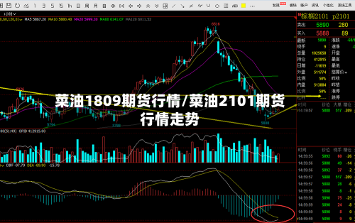 菜油1809期货行情/菜油2101期货行情走势