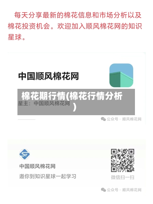 棉花期行情(棉花行情分析)