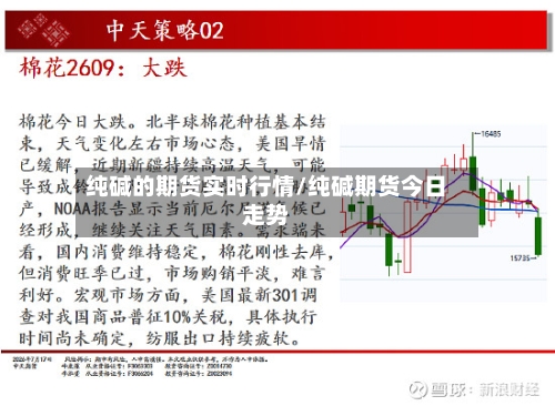 纯碱的期货实时行情/纯碱期货今日走势-第3张图片