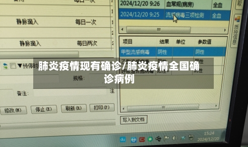肺炎疫情现有确诊/肺炎疫情全国确诊病例