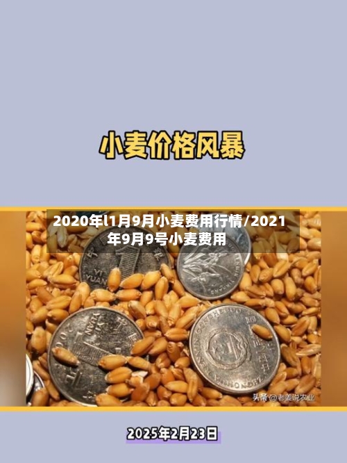 2020年l1月9月小麦费用行情/2021年9月9号小麦费用-第2张图片
