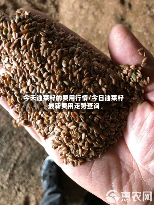 今天油菜籽的费用行情/今日油菜籽最新费用走势查询-第2张图片