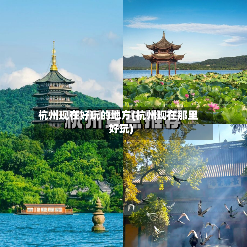 杭州现在好玩的地方(杭州现在那里好玩)-第1张图片