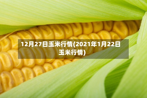 12月27日玉米行情(2021年1月22日玉米行情)-第3张图片
