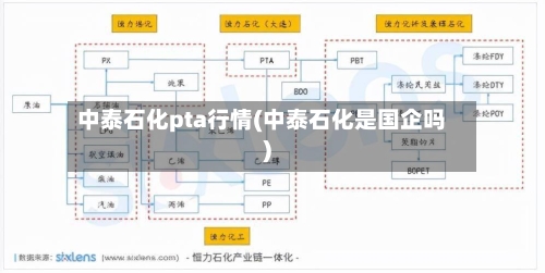 中泰石化pta行情(中泰石化是国企吗)