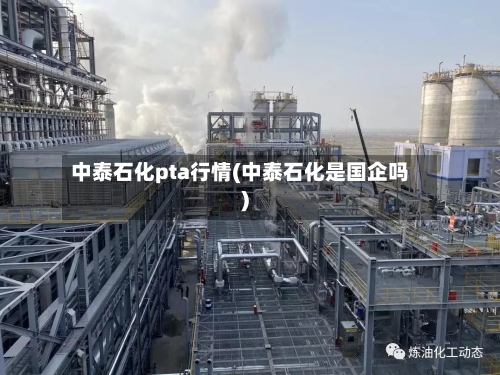 中泰石化pta行情(中泰石化是国企吗)-第2张图片