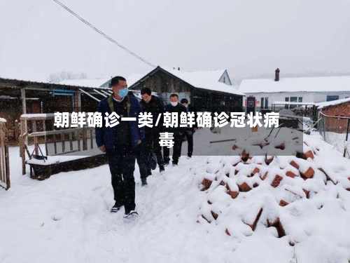 朝鲜确诊一类/朝鲜确诊冠状病毒-第2张图片