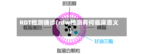 RDT检测确诊(rdw检测有何临床意义)