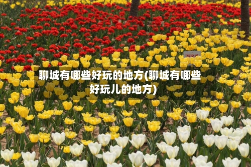 聊城有哪些好玩的地方(聊城有哪些好玩儿的地方)-第3张图片
