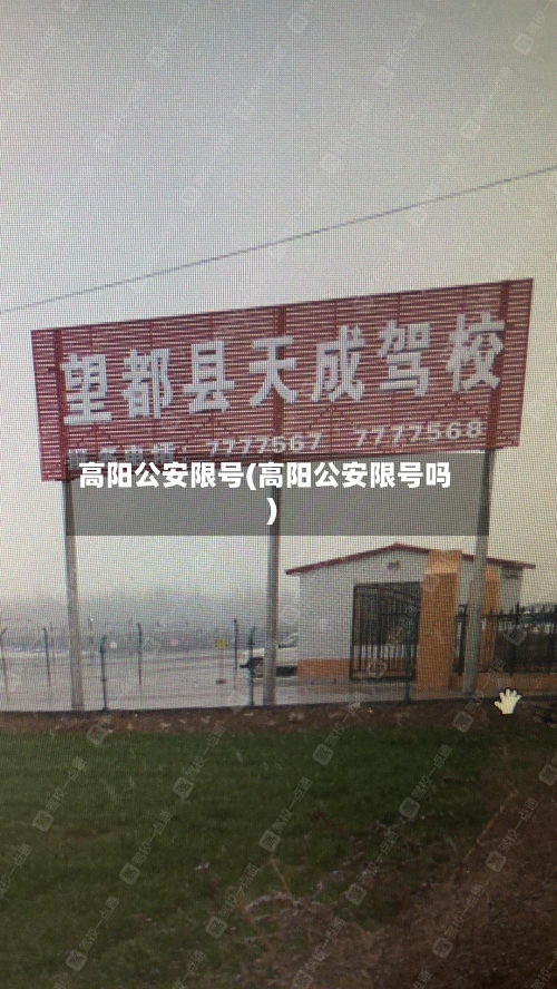高阳公安限号(高阳公安限号吗)-第1张图片