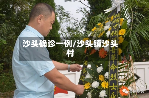 沙头确诊一例/沙头镇沙头村-第2张图片