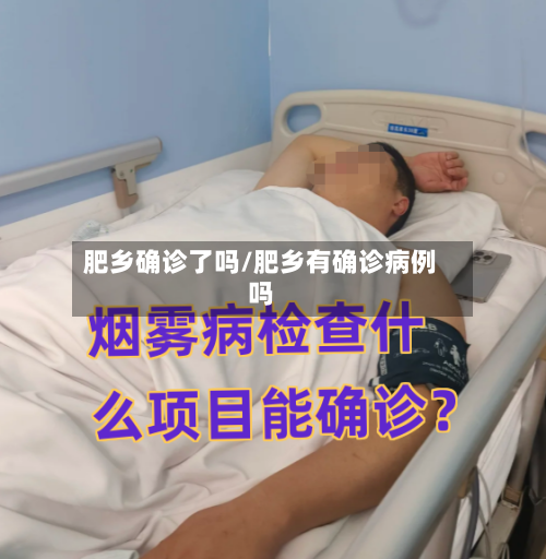 肥乡确诊了吗/肥乡有确诊病例吗-第1张图片