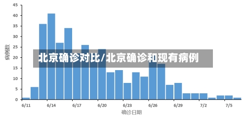北京确诊对比/北京确诊和现有病例-第2张图片
