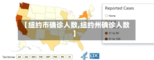 【纽约市确诊人数,纽约州确诊人数】