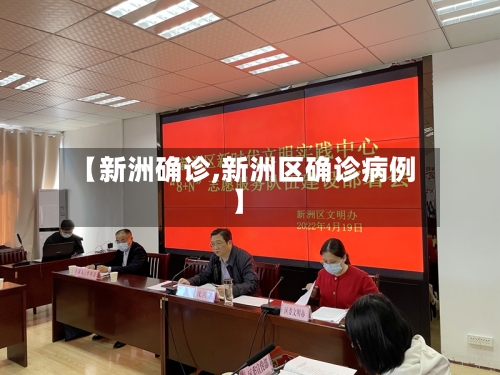 【新洲确诊,新洲区确诊病例】-第3张图片
