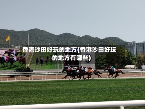 香港沙田好玩的地方(香港沙田好玩的地方有哪些)-第2张图片