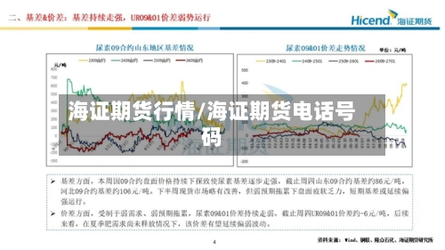 海证期货行情/海证期货电话号码-第3张图片