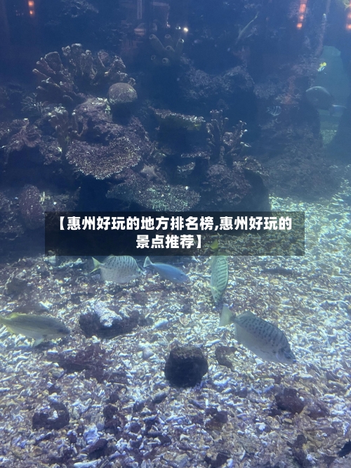 【惠州好玩的地方排名榜,惠州好玩的景点推荐】