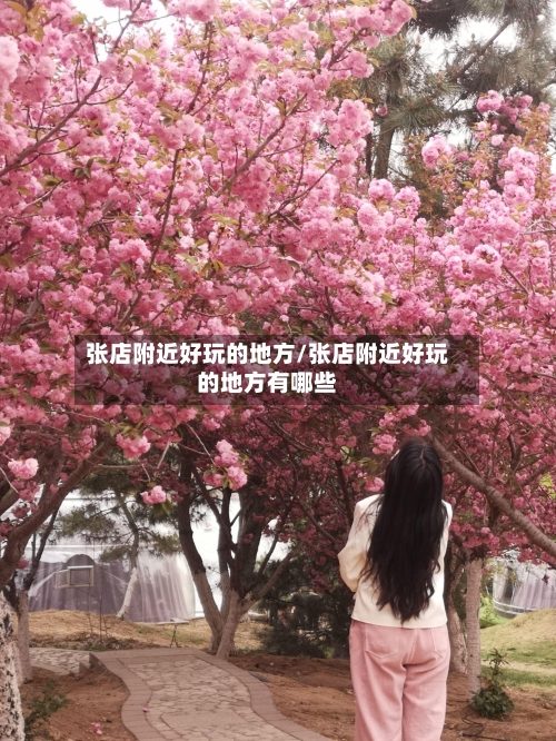 张店附近好玩的地方/张店附近好玩的地方有哪些-第2张图片