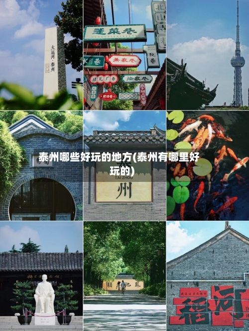 泰州哪些好玩的地方(泰州有哪里好玩的)
